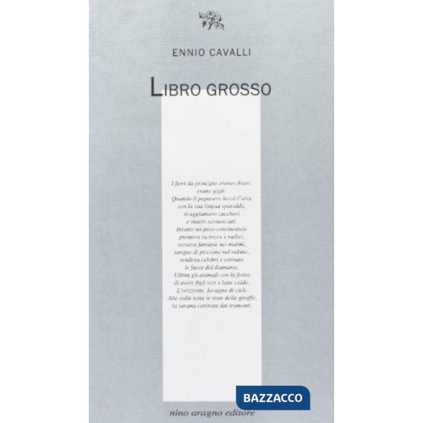 Libro grosso