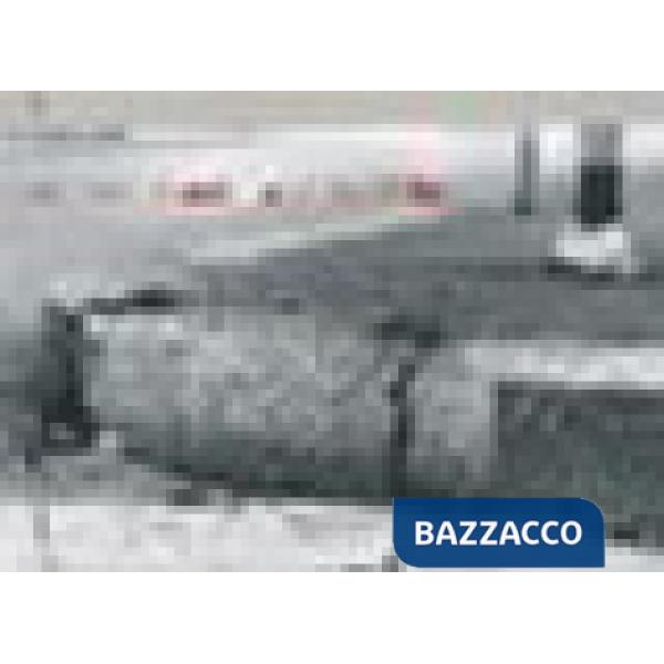 Incidenti stradali in provincia di Udine. Conoscenza e prevenzione multidiscipli