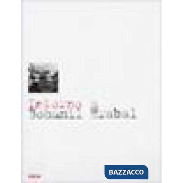 Intorno a Bohumil Hrabal