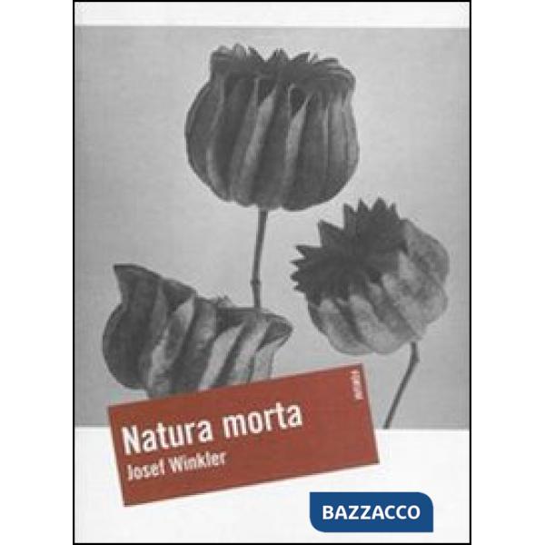 Natura morta
