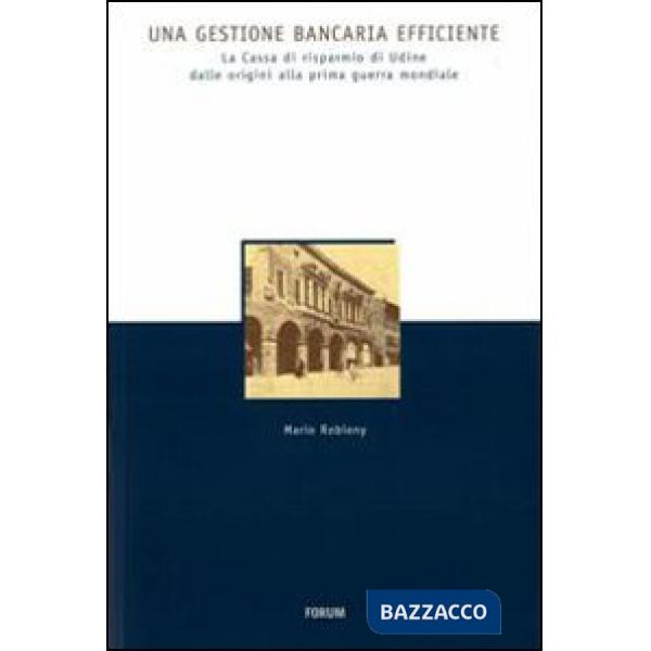 Gestione bancaria efficiente. La Cassa di Risparmio di Udine dalle origini alla prima guerra mondiale (Una)