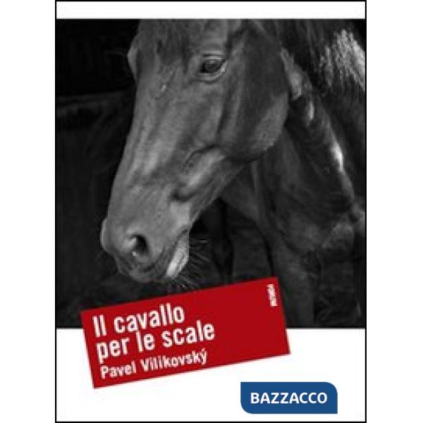 Cavallo per le scale (Il)