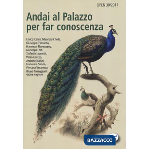 Andai al Palazzo per far conoscenza