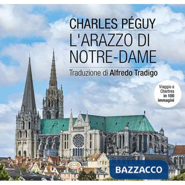 Arazzo di Notre-Dame. Viaggio a Chartres in 100 immagini. Ediz. illustrata (L')