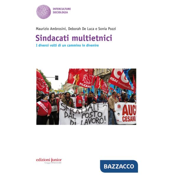 Sindacati multietnici. I diversi volti di un cammino in divenire