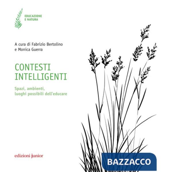 Contesti intelligenti. Spazi, ambienti, luoghi possibili dell'educare