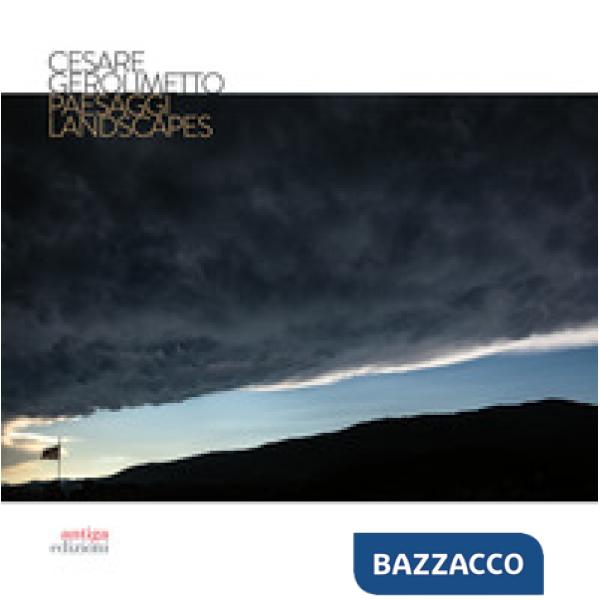 Paesaggi. Ediz. italiana e inglese