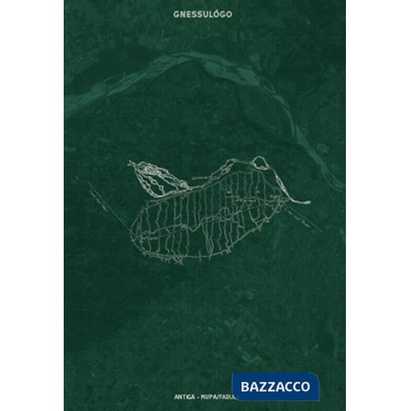 Gnessulógo. Poesia, pittura, territorio. Dentro alla poetica di Andrea Zanzotto