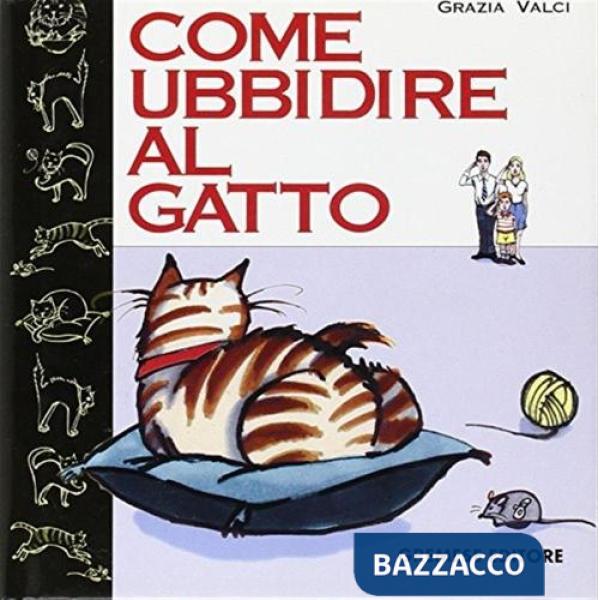 Come ubbidire al gatto