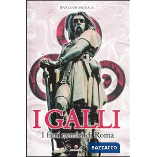 Galli. I fieri nemici di Roma. Ediz. illustrata (I)