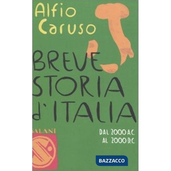 Breve storia d'Italia. Dal 2000 a.C. al 2000 d.C.