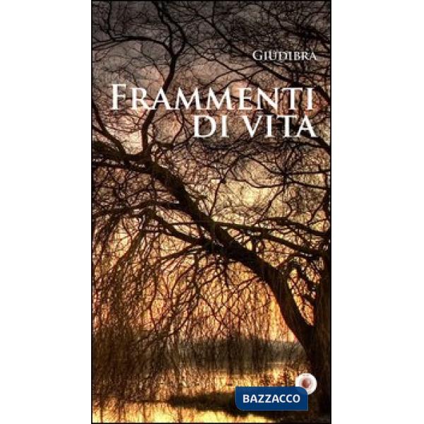 Frammenti di vita