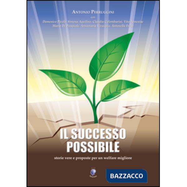 Successo possibile (Il)
