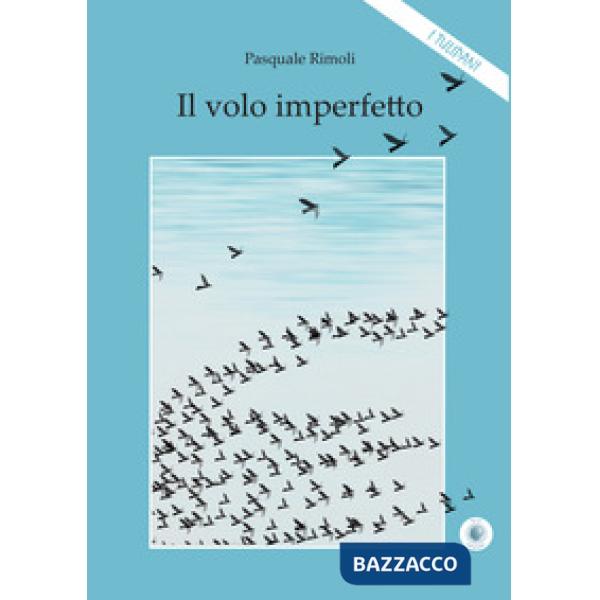 Volo imperfetto (Il)