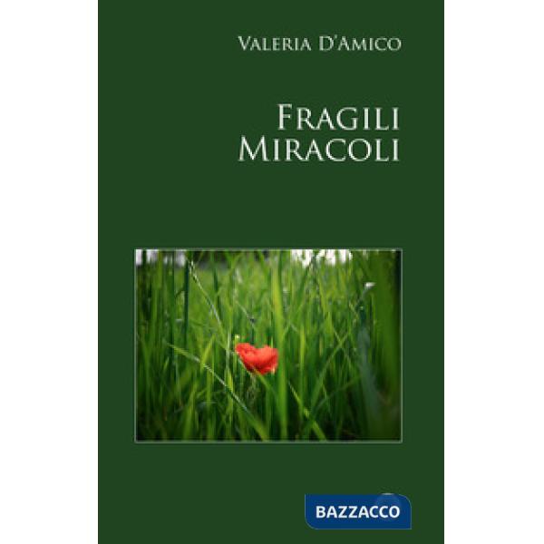 Fragili miracoli