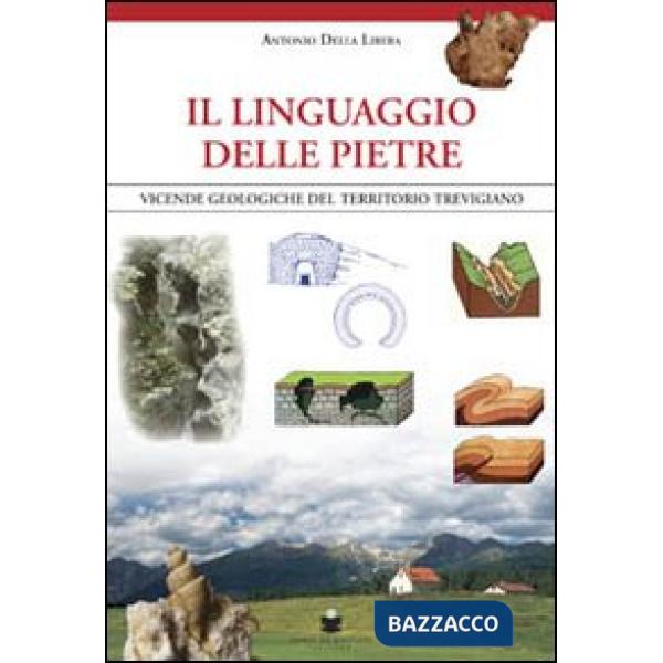 Linguaggio delle pietre. Vicende geologiche del territorio trevigiano (Il)