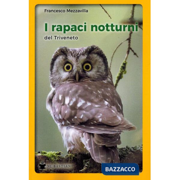Rapaci notturni del Triveneto (I)