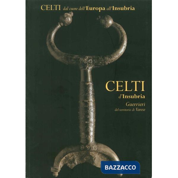 Celti d'Insubria. Guerrieri del territorio di Varese