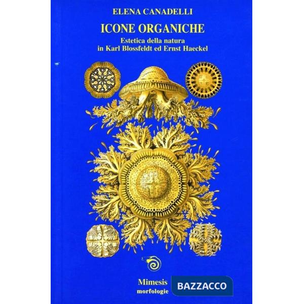 Icone organiche. Estetica della natura in Karl Blossfeldt ed Ernst Haeckel