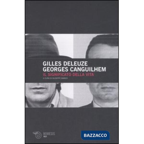 Significato della vita (Il)