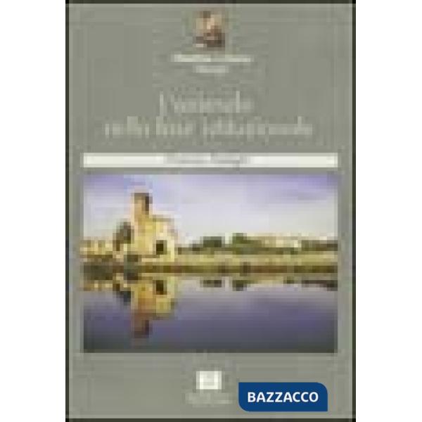 Azienda nella fase istituzionale (L')