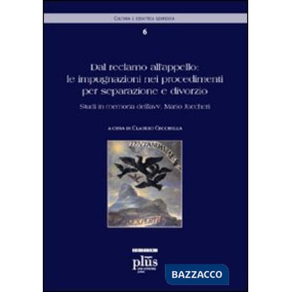 Dal reclamo all'appello: le impugnazioni nei procedimenti per separazione e divo
