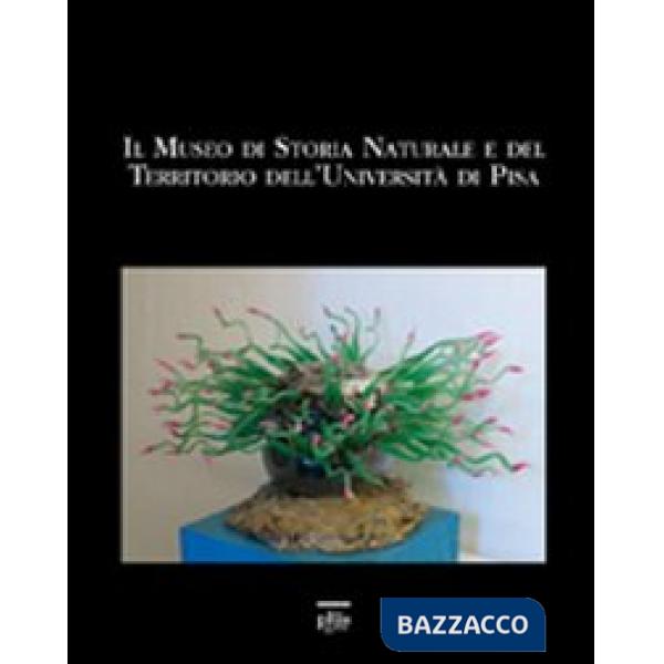 Museo di storia naturale e del territorio dell'università di Pisa (Il)