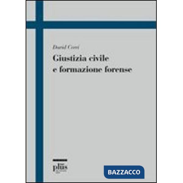 Giustizia civile e formazione forense
