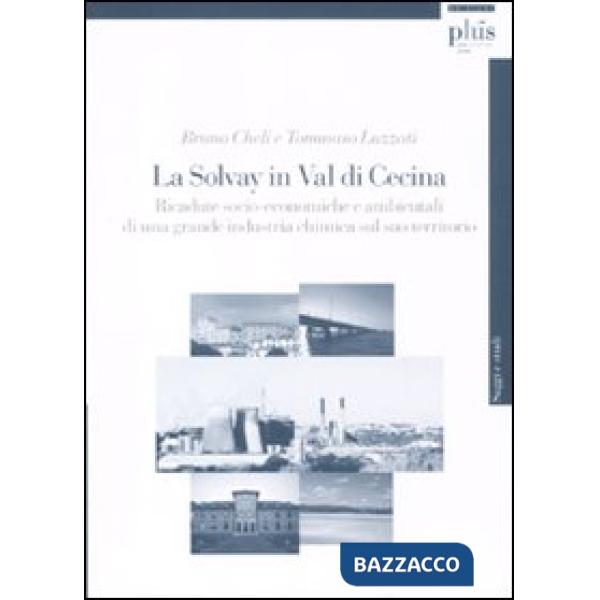 Solvay in Val di Cecina. Ricadute socio-economiche e ambientali di una grande in
