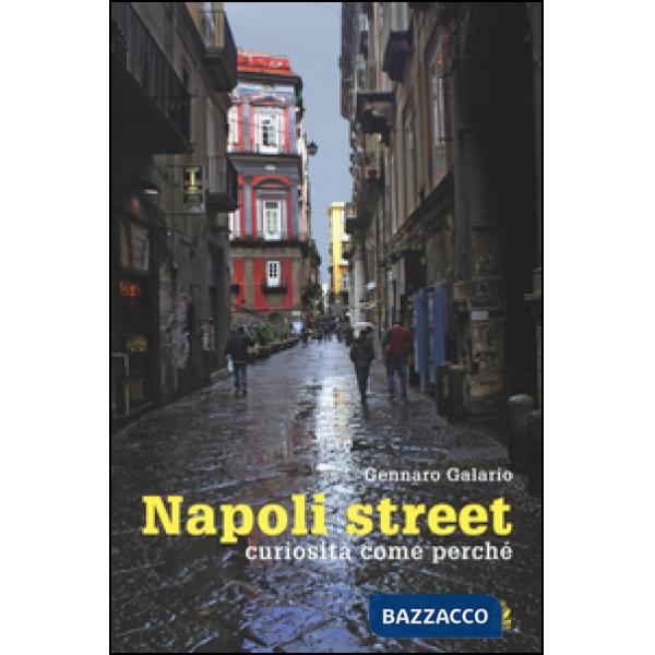 Napoli street. Curiosità, come, perché. Ediz. illustrata