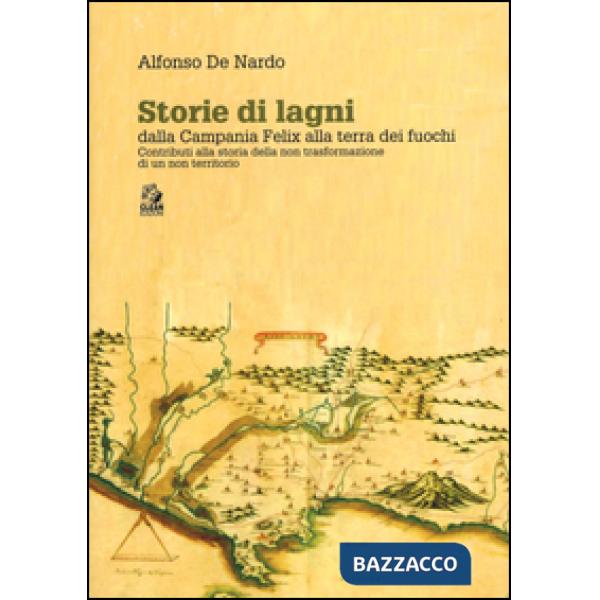 Storie di lagni. Dalla Campania Felix alla terra dei fuochi. Contributi alla sto