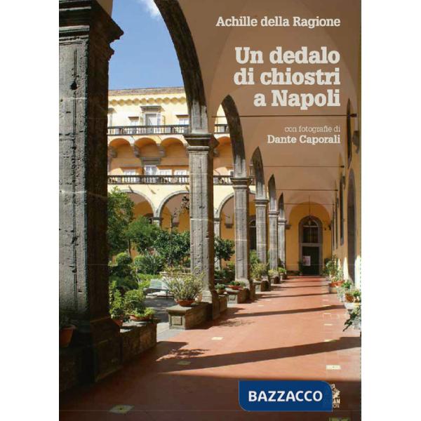 Dedalo di chiostri a Napoli. Ediz. a colori (Un)