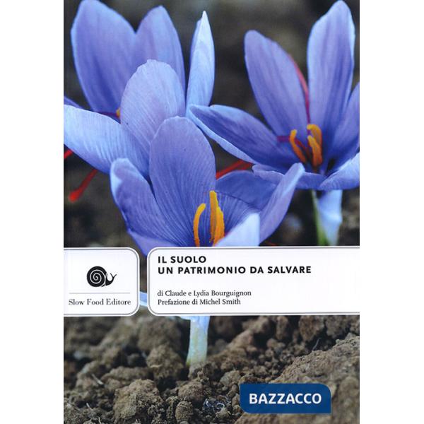 Suolo. Un patrimonio da salvare (Il)