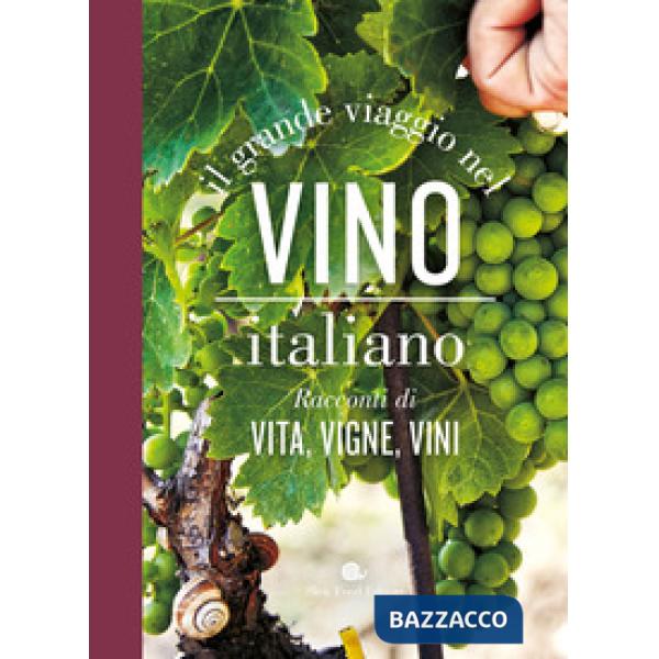 Grande viaggio nel vino italiano. Racconti di vita, vigne, vini (Il)