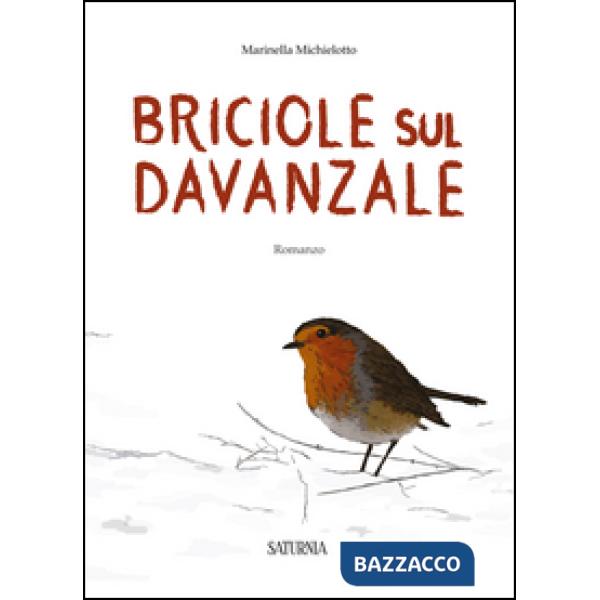 Briciole sul davanzale