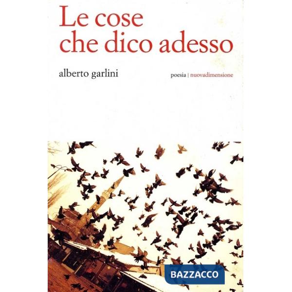 Cose che dico adesso (Le)