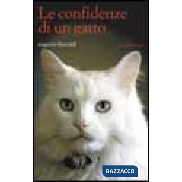 Confidenze di un gatto (Le)