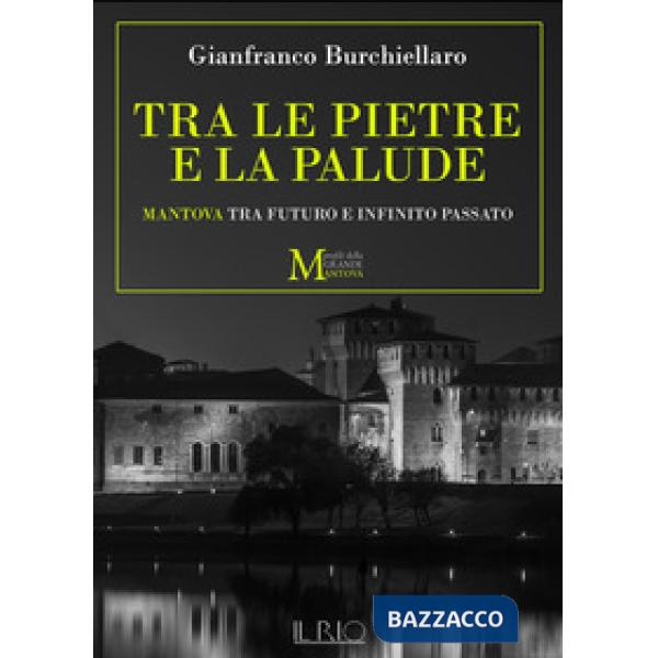 Tra le pietre e la palude. Mantova tra futuro e infinito passato