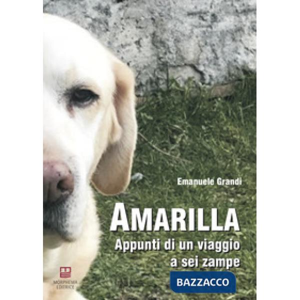 Amarilla. Appunti di un viaggio a sei zampe