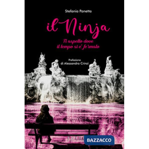Ninja. Ti aspetto dove il tempo si è fermato (Il)