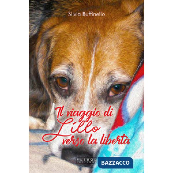 Viaggio di Lillo verso la libertà (Il)