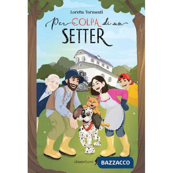 Per colpa di un setter