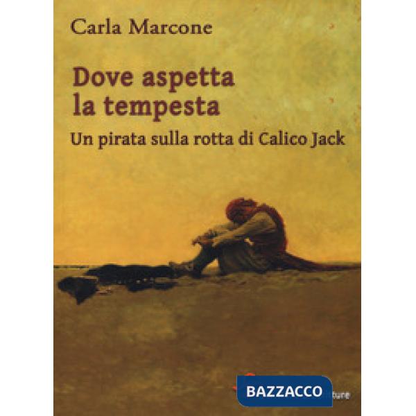 Dove aspetta la tempesta. Un pirata sulla rotta di Calico Jack