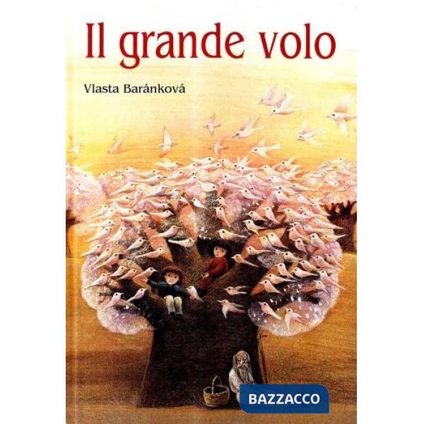 Grande volo (Il)