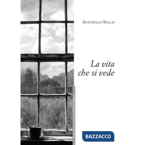 Vita che si vede (La)