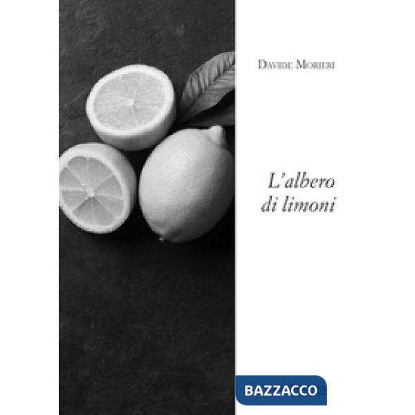 Albero di limoni (L')