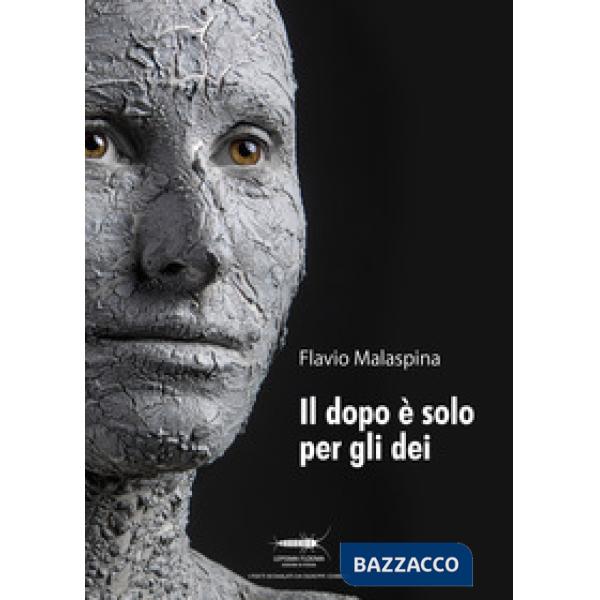 Dopo è solo per gli dei (Il)