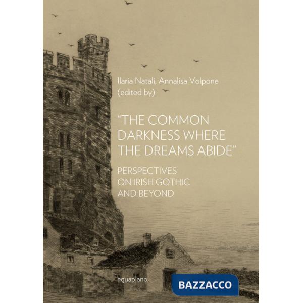 Common darkness where the dreams abide». Perspectives on Irish gothic and beyond («The)