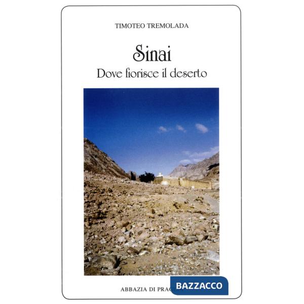 Sinai, dove fiorisce il deserto