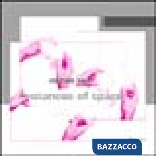 Michele Saee. Instances of space. Catalogo della mostra